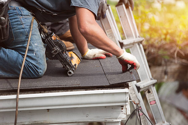 Best Roof Leak Repair  in Pingree Grove, IL